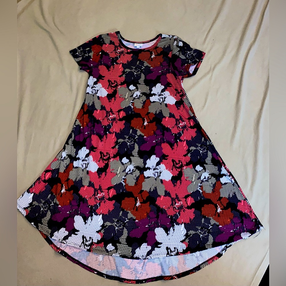 Lularoe Carly dress